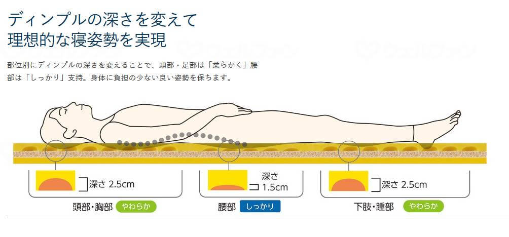 キュオラの説明